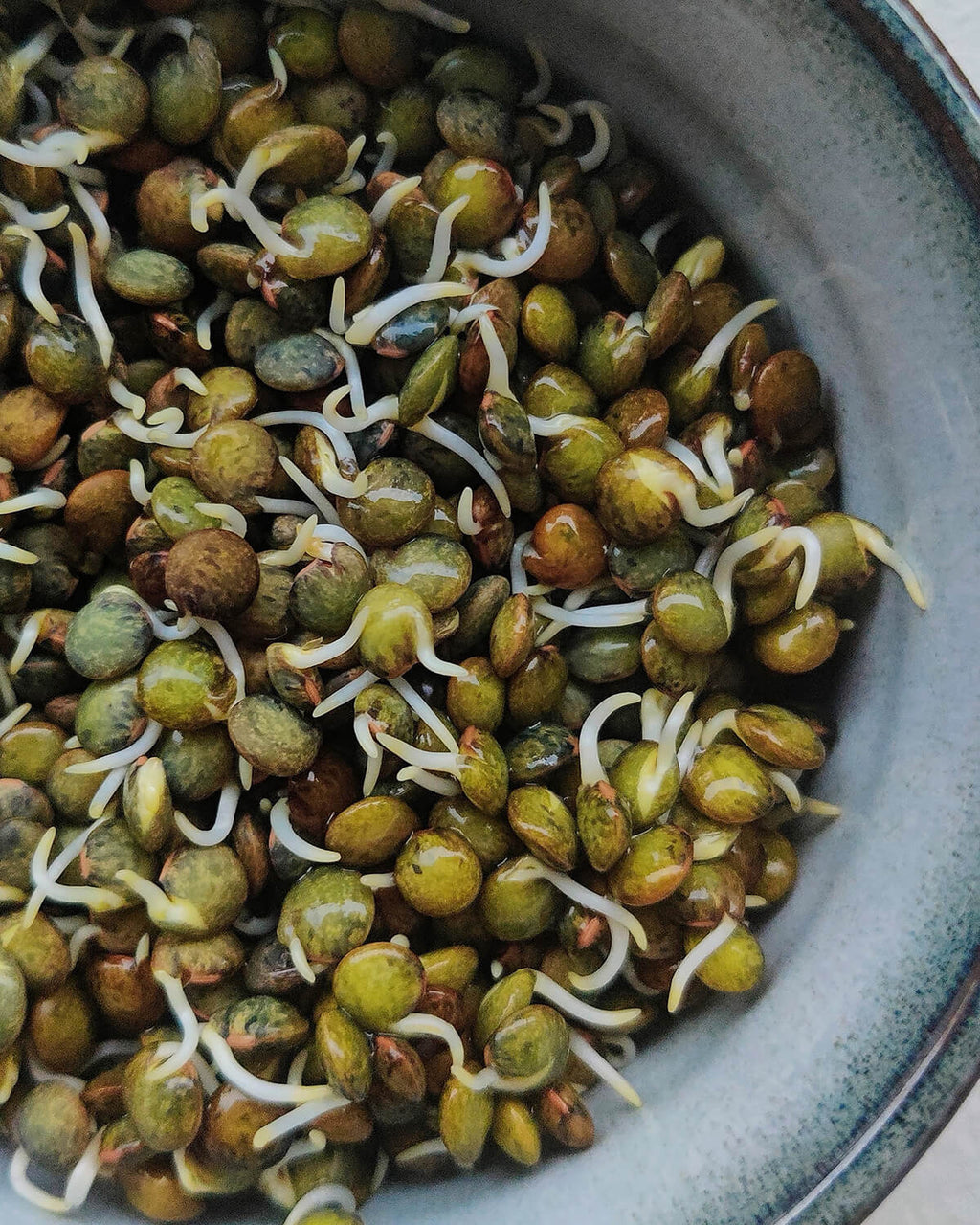 Hjemmelavede linsespirer