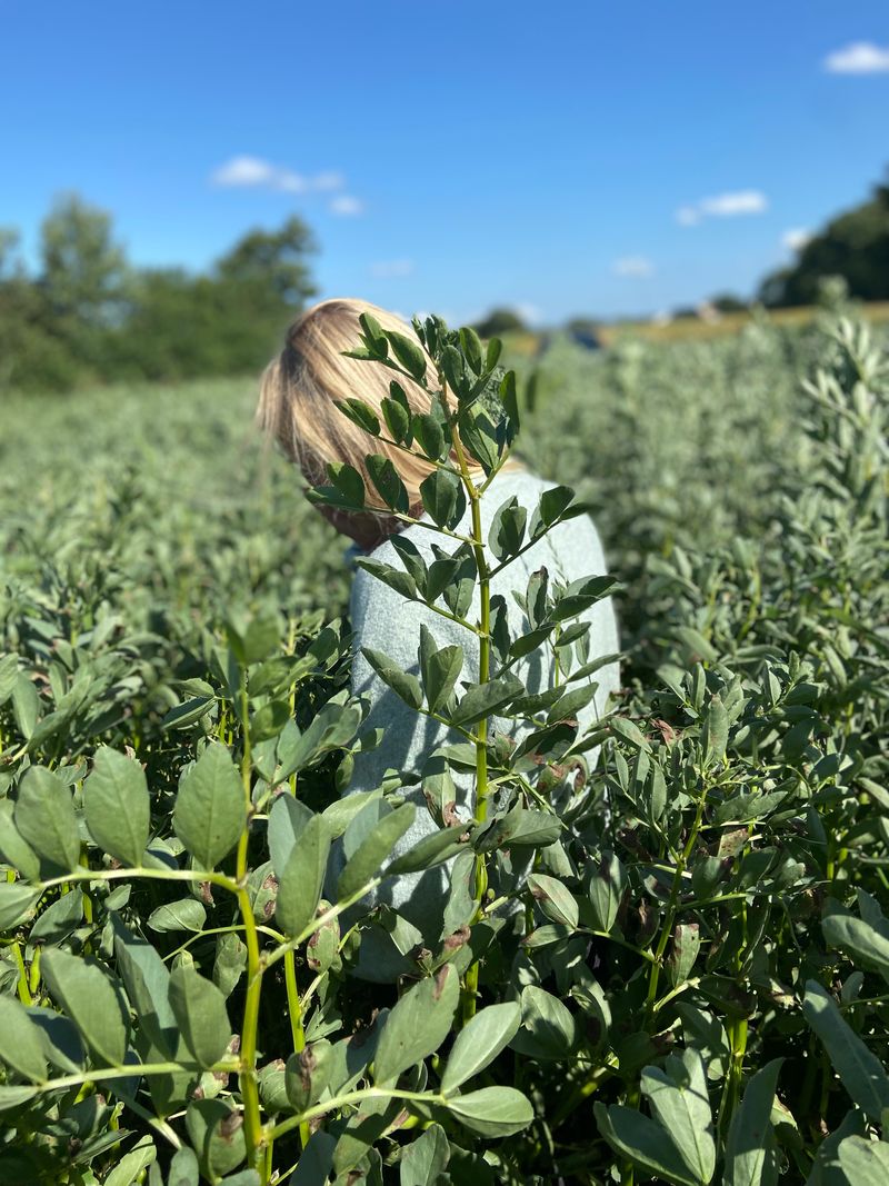 Kortere vej fra marken til maven