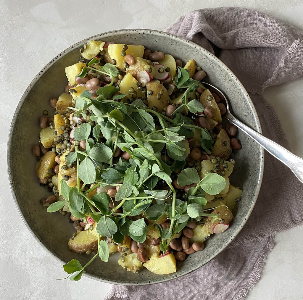 Kartoffelsalat med marinerede hestebønner og sprøde linser